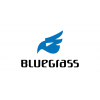 Bluegrass