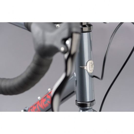 Genesis Flyer Single Speed