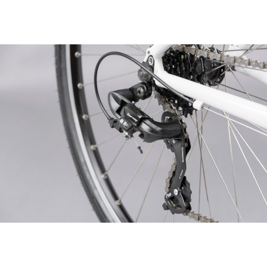 ridgeback motion bike