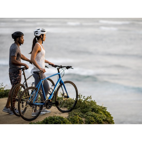 Trek Fx 2 Disc Xl Top Sellers, 51% OFF 