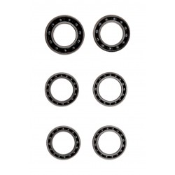 CeramicSpeed Wheel Bearings Coated for ENVE (ENVE-5-C)