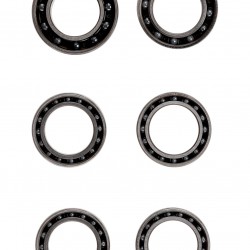 CeramicSpeed Wheel Bearings Coated for ENVE (ENVE-5-C)