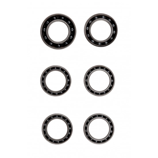 CeramicSpeed Wheel Bearings Coated for ENVE (ENVE-5-C)
