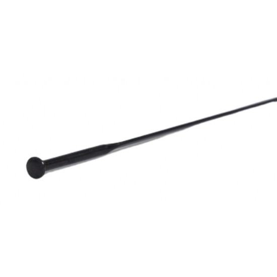 FSA Spoke Sapim CX-RAY Black