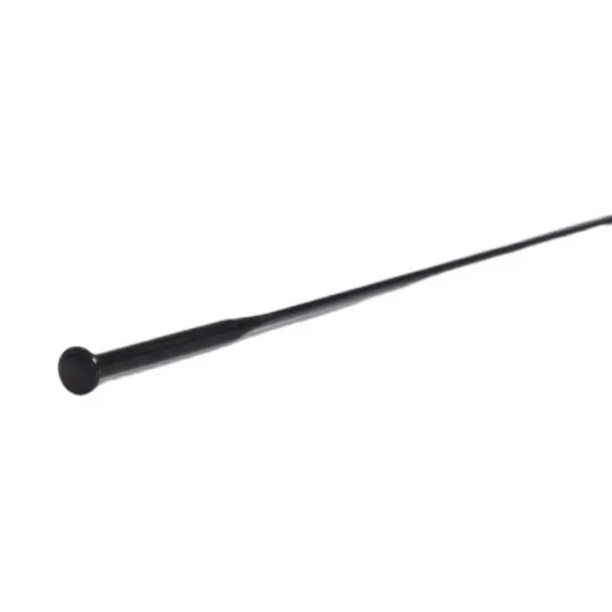 FSA Spoke Sapim CX-RAY Black