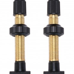 Tubeless Vavles [BTI-159]