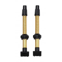 BBB BTI-159 - Tubeless Valves (60mm, ×2)