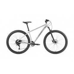 Reid MTB Elite (29", Silver, XL, 53 cm)