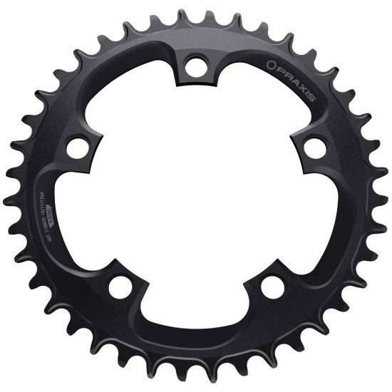 Praxis - E-Ring - 110 BCD NW 1x 48t Direct threaded