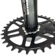 Praxis - Chainring - Steel DM NW 1x 30t 0mm