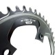 Praxis - E-Ring - 110 BCD NW 1x 48t Direct threaded