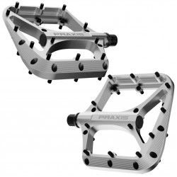 Praxis -Brodium G2 Pedal - Silver