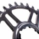 Praxis - Chainring - Steel DM NW 1x 30t 0mm