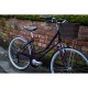 Dawes Cambridge 19/26" Mint Dawes Cambridge 19/26" Mint