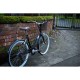 Dawes Classic 19/26'' Dawes Classic 19/26''