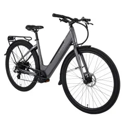 Dawes Scenic Low Step - Small (15")