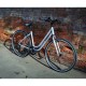 Dawes Venture 1.0 Lowstep Small 16.5" (2025) Dawes Venture 1.0 Lowstep Small 16.5" (2025)