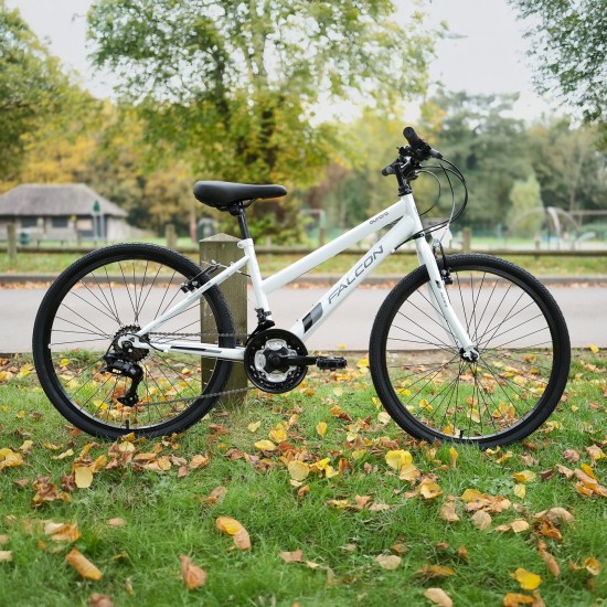 Falcon Aurora 24"