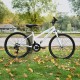 Falcon Aurora 24"