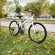 Falcon Aurora 24"
