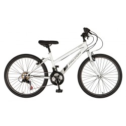 Falcon Aurora 24"
