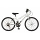 Falcon Aurora 24"