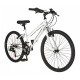 Falcon Aurora 24"