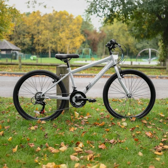 Falcon Cyclone 24"