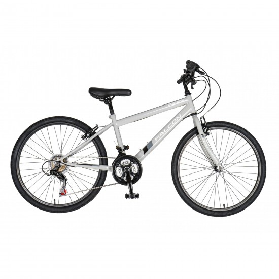 Falcon Cyclone 24"