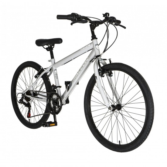Falcon Cyclone 24"