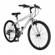 Falcon Cyclone 24"