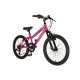 Falcon Jade 20" (Pink)