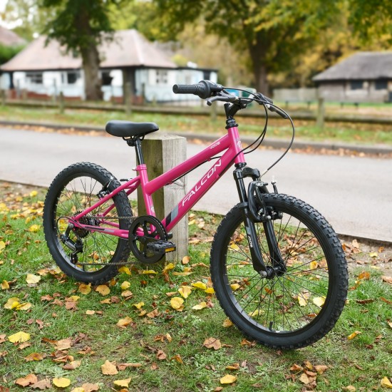 Falcon Jade 20" (Pink)