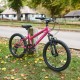 Falcon Jade 20" (Pink)