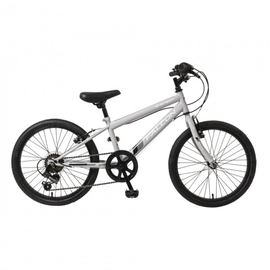 Falcon Jetstream 20"