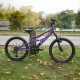 Falcon Moonstone 20"