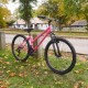 Falcon Orchid HT G26" - New (2026) - Pink