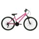 Falcon Orchid HT G26" - New (2026) - Pink