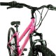 Falcon Orchid HT G26" - New (2026) - Pink