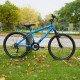 Falcon Raptor 24" Falcon Raptor 24"