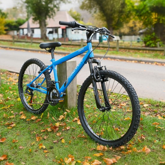 Falcon Raptor 24" Falcon Raptor 24"