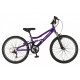 Falcon Siren 24" Falcon Siren 24"