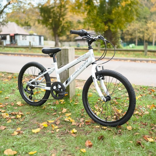 Falcon Starlight 20" Falcon Starlight 20"