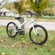 Falcon Starlight 20" Falcon Starlight 20"