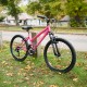Falcon Venus 24" (Pink) Falcon Venus 24" (Pink)