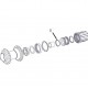 DT Swiss Conical spring for star ratchet systems, Pre-EXP 180, 240, 350 and Ratchet LN 370