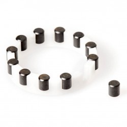 DT Swiss Needle cage complete for rear Onyx hub