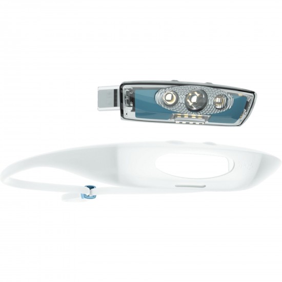 KNOG HEADLAMP Bandicoot Run 250 - Grape