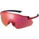 Shimano Clothing Equinox Glasses, Metallic Black, RideScape Road Lens