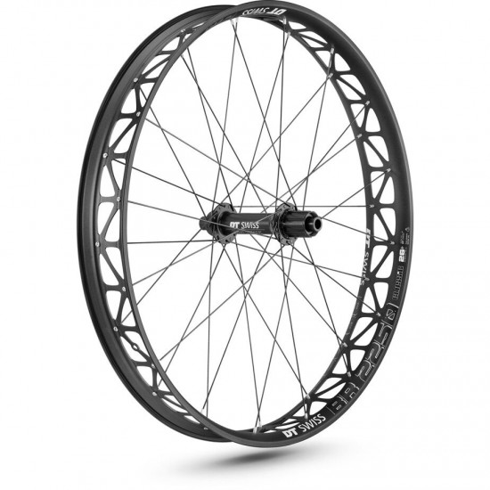 DT Swiss BR 2250 wheel, 76 mm rim, 25 x 197 mm axle, 26 inch rear